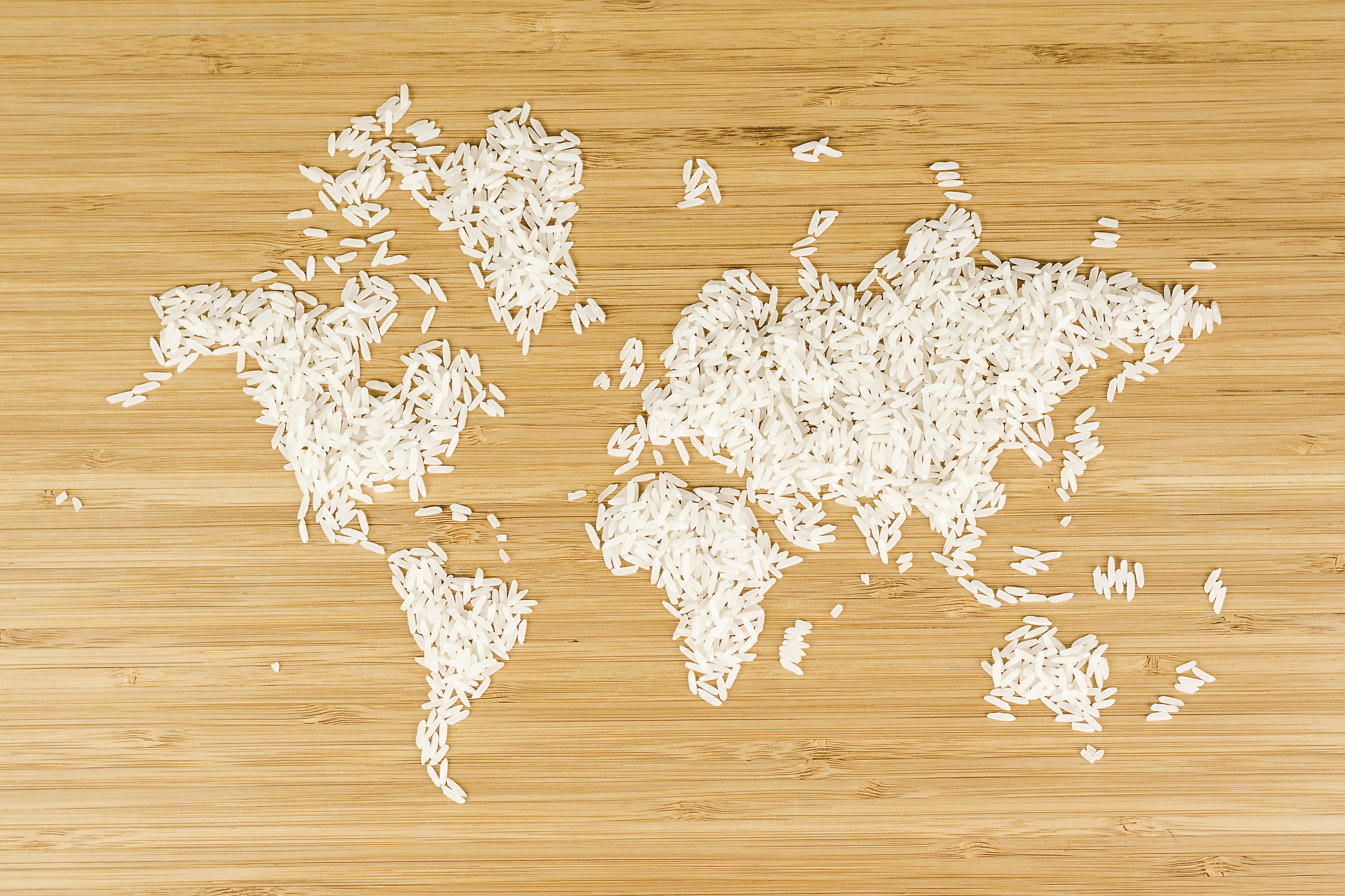 map of the world made of white rice 1 "